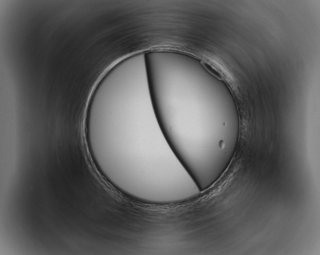 X0000093110948200710101019