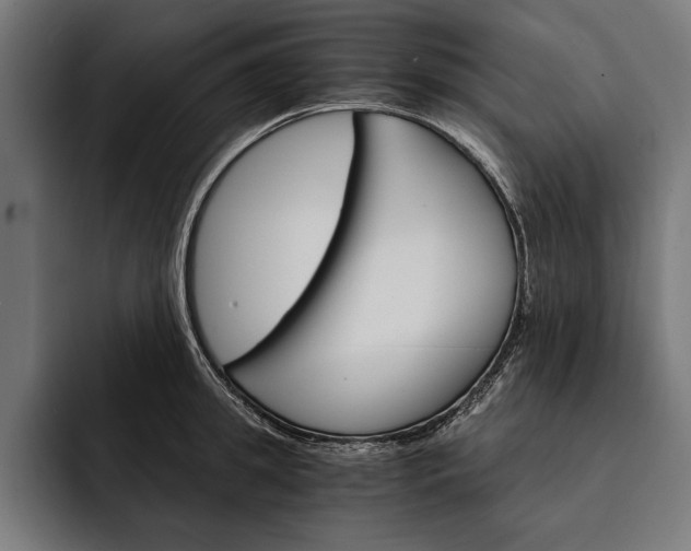 X0000093110949200710101019