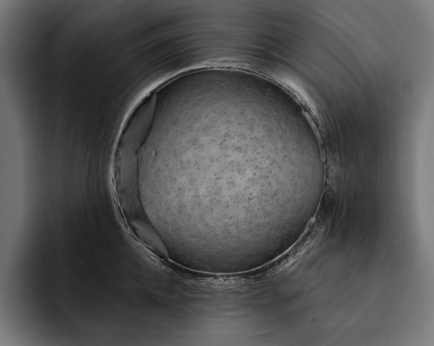 X0000093110952200710101019