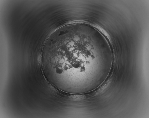 X0000093110953200710101019