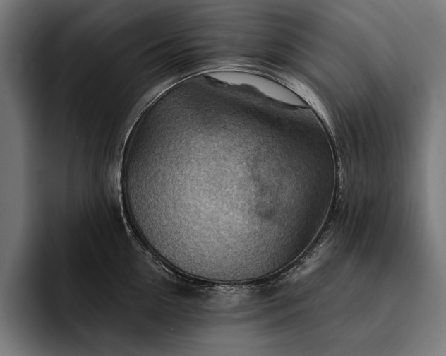 X0000093110954200710101019