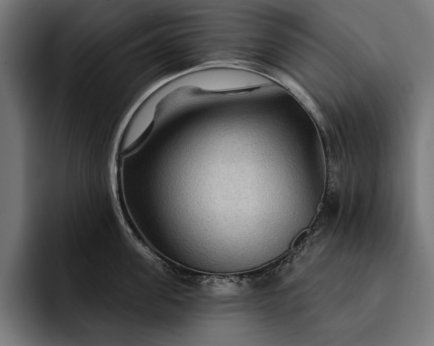 X0000093110955200710101019