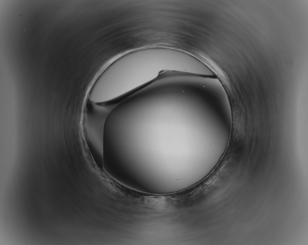 X0000093110956200710101019