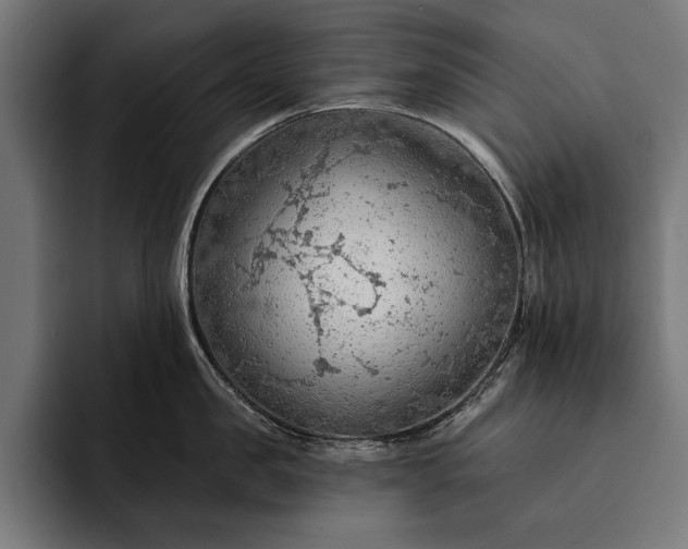 X0000093110957200710101019