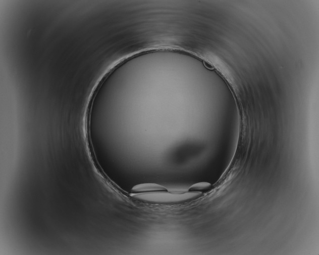 X0000093110958200710101019