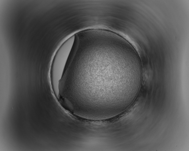 X0000093110959200710101019