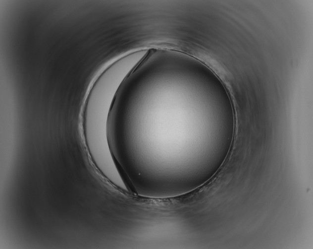 X0000093110960200710101019