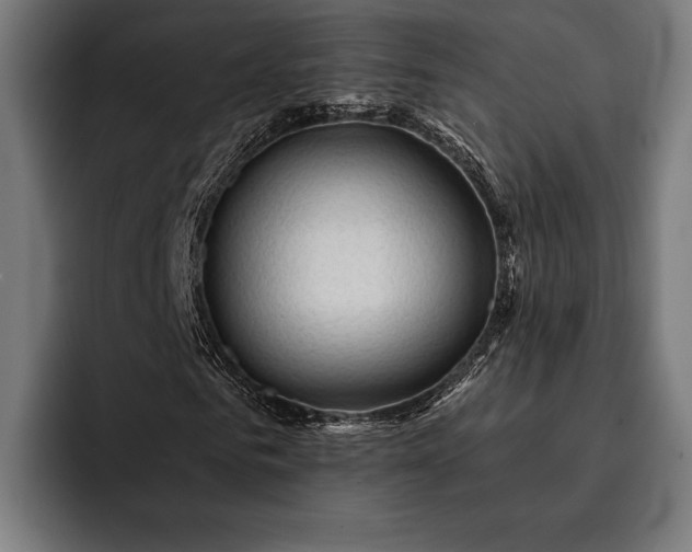 X0000093110961200710101019