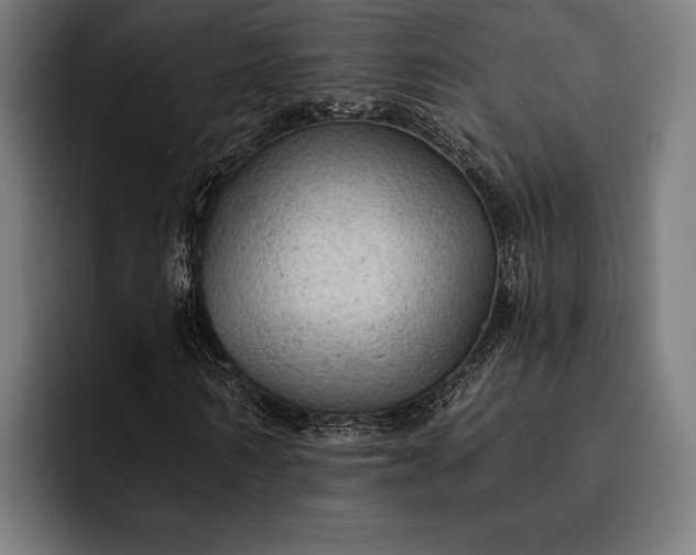 X0000093110962200710101019