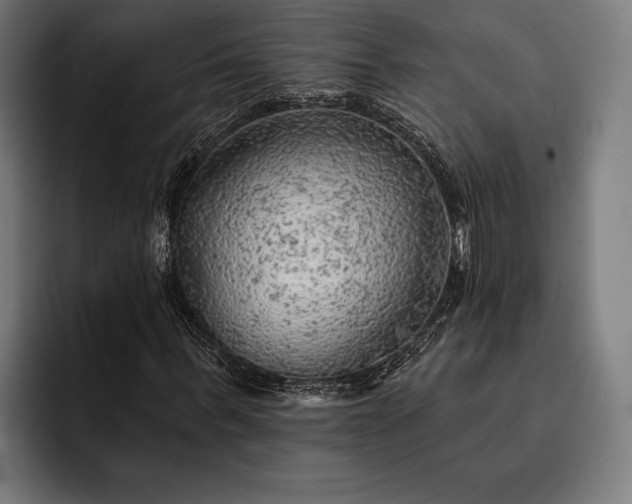 X0000093110963200710101019