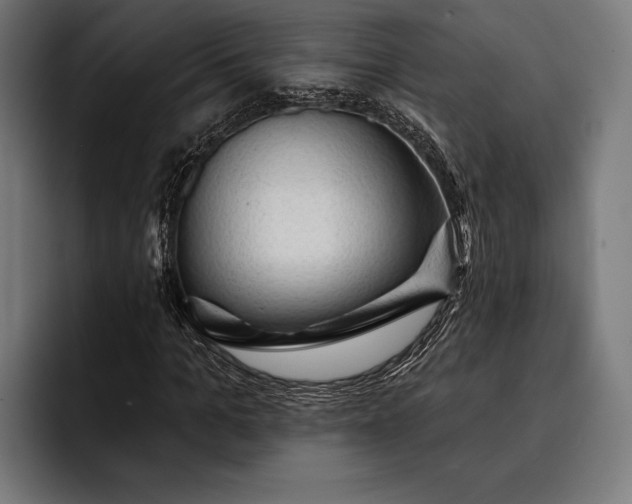 X0000093110965200710101019