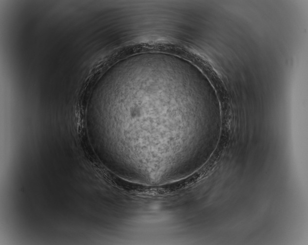 X0000093110966200710101019