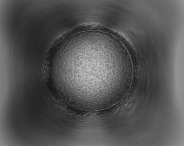 X0000093110967200710101019