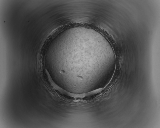 X0000093110968200710101019