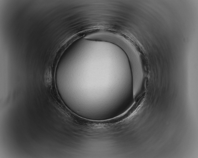 X0000093110969200710101019