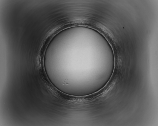 X0000093110970200710101019