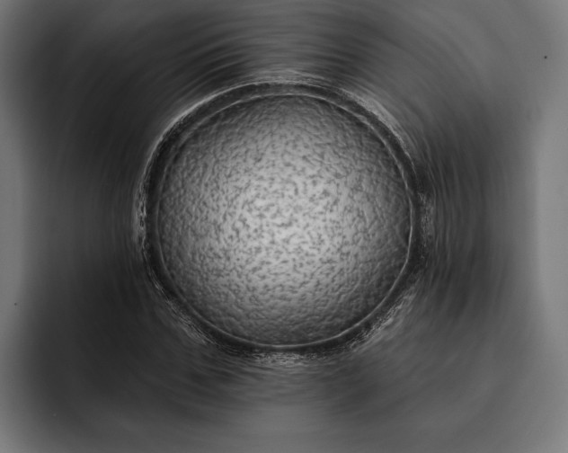 X0000093110971200710101019