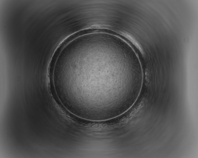 X0000093110972200710101019