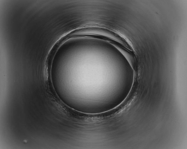 X0000093110973200710101019