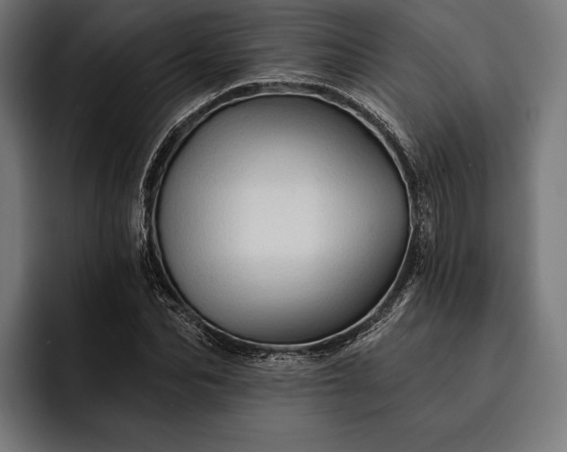 X0000093110974200710101019