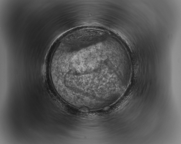 X0000093110975200710101019