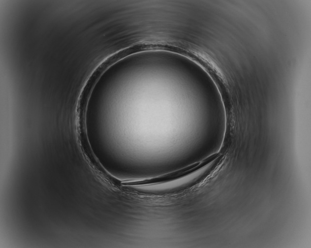 X0000093110976200710101019