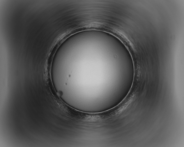 X0000093110978200710101019