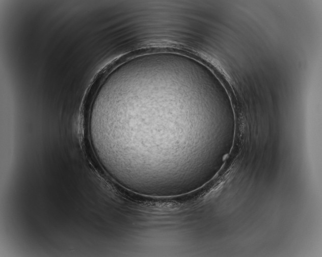 X0000093110979200710101019