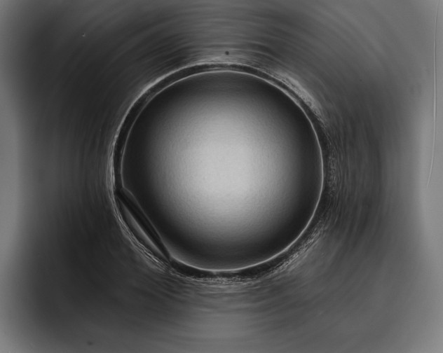 X0000093110980200710101019