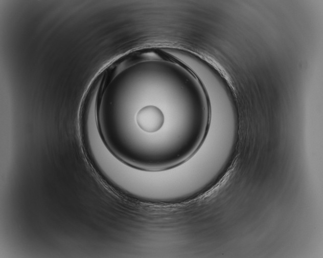 X0000093110981200710101019