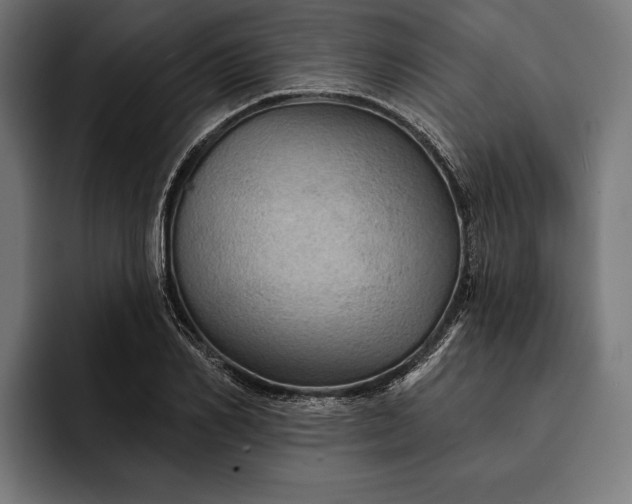 X0000093110982200710101019