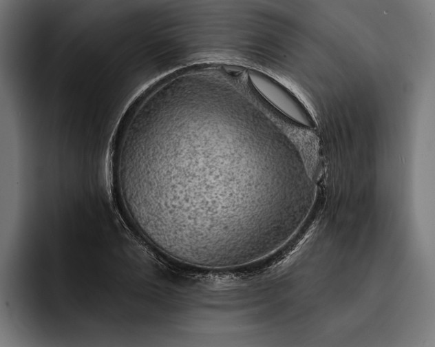 X0000093110983200710101019