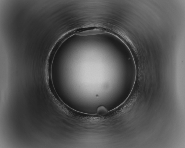 X0000093110984200710101019