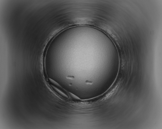 X0000093110986200710101019