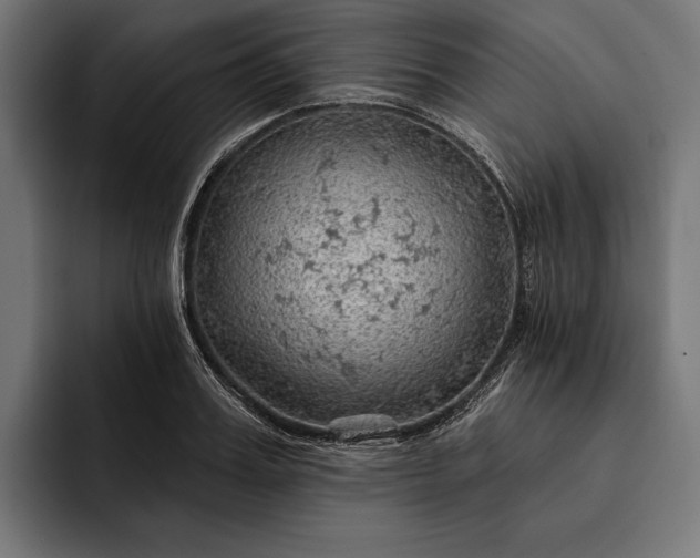 X0000093110987200710101019