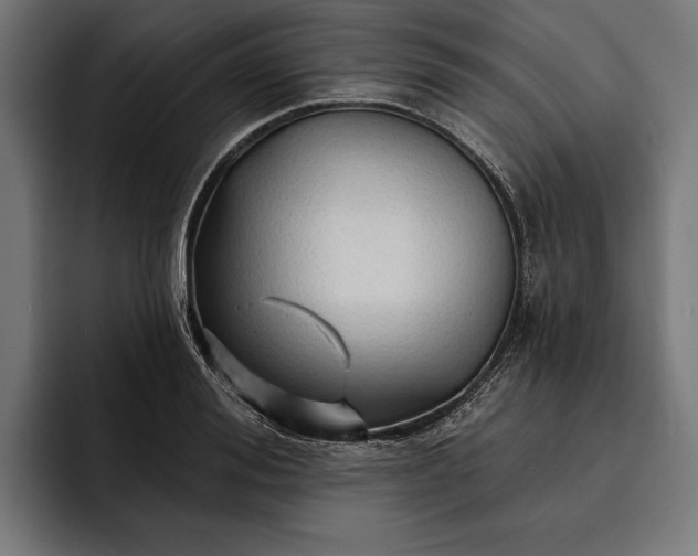 X0000093110988200710101019