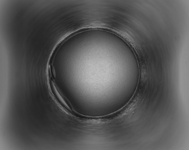 X0000093110990200710101019