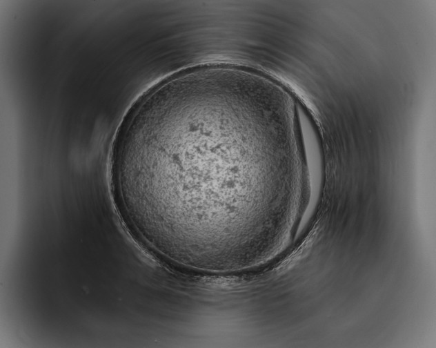 X0000093110991200710101018