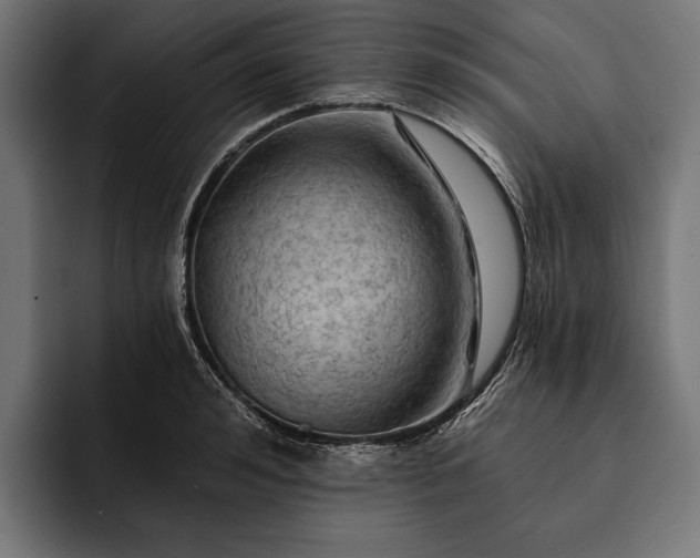 X0000093110992200710101018