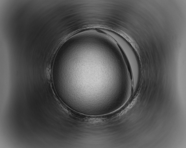 X0000093110993200710101018