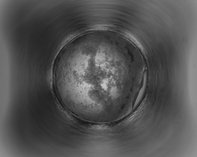 X0000093110994200710101018