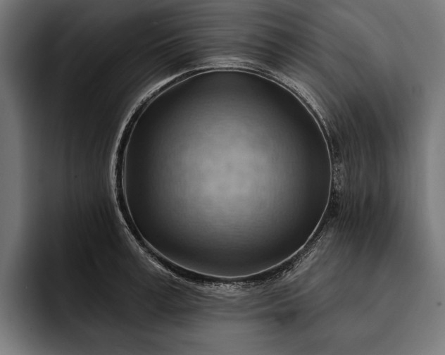 X0000093110995200710101018