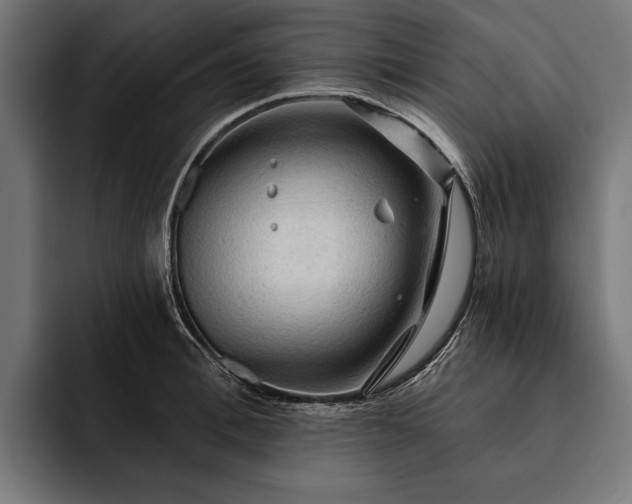 X0000093110996200710101018