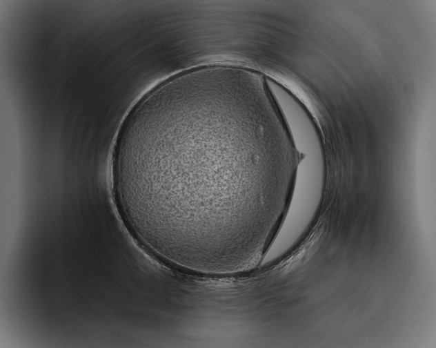 X0000093110999200710101018