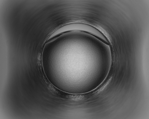 X0000093111001200710101018