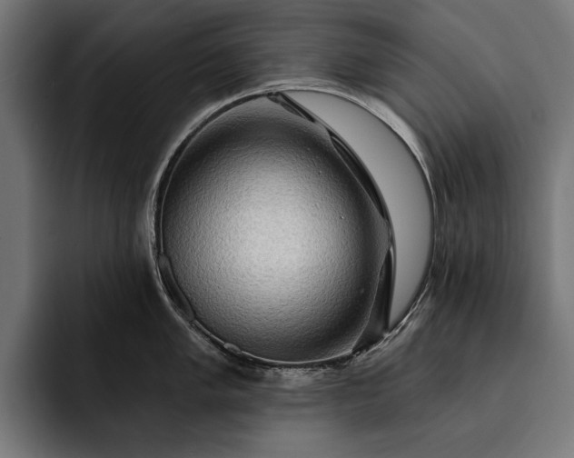 X0000093111005200710101018