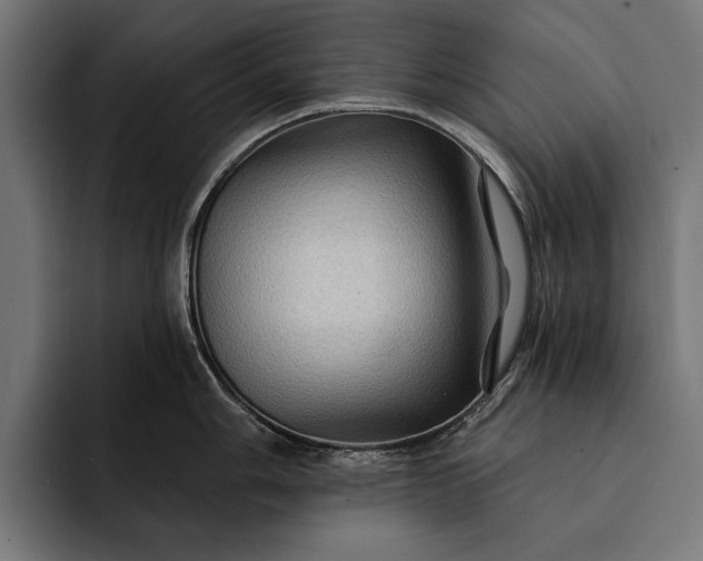 X0000093111006200710101018