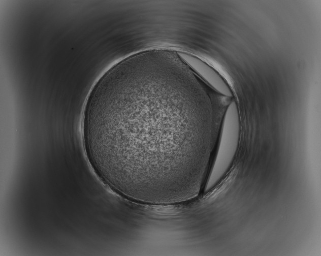 X0000093111007200710101018