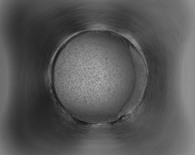 X0000093111008200710101018