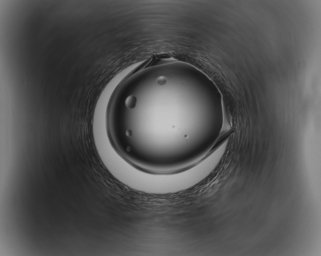 X0000093111010200710101018